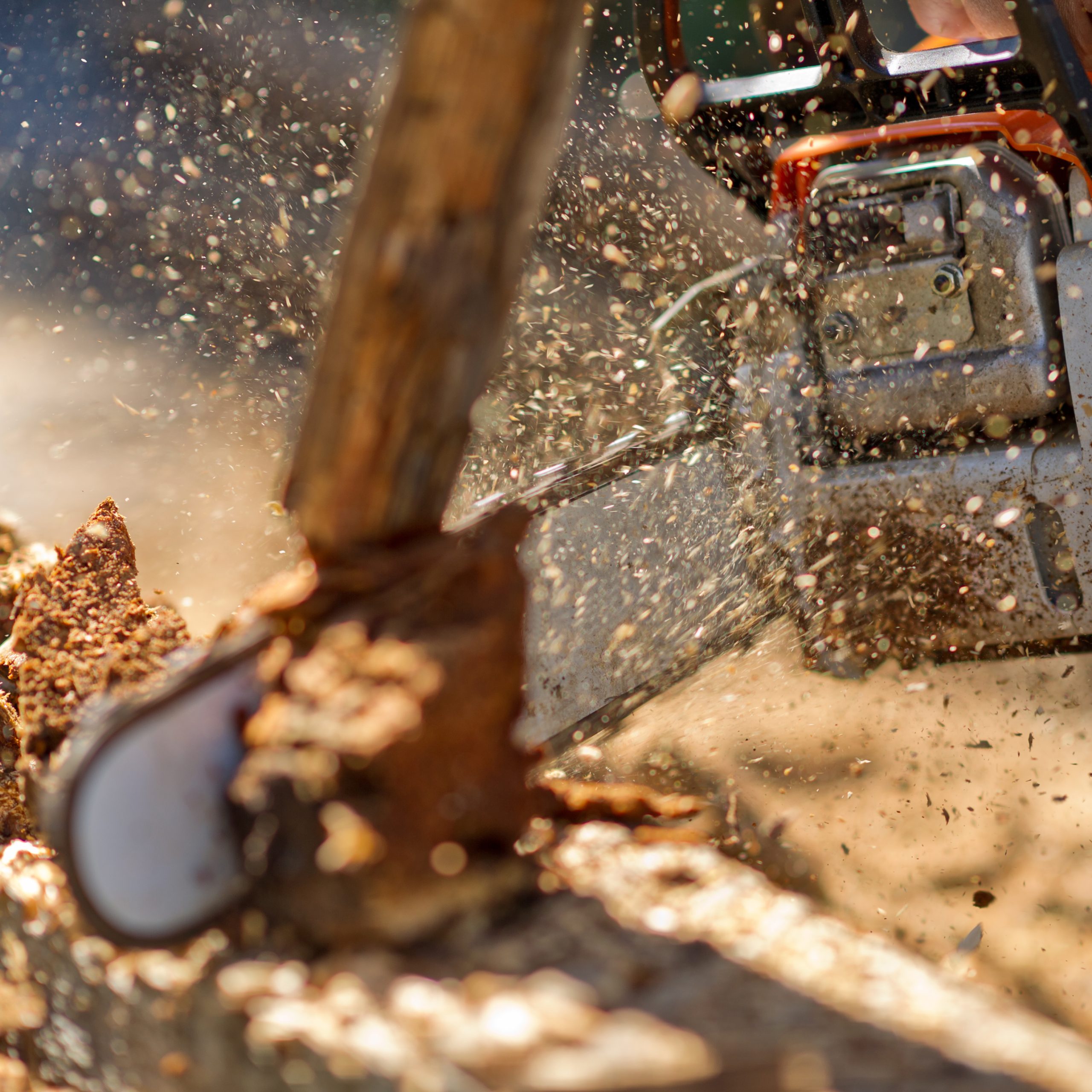 Close-up of a professional arborist cutting a tree stump with a chainsaw – Tree service company in Chesapeake, VA.